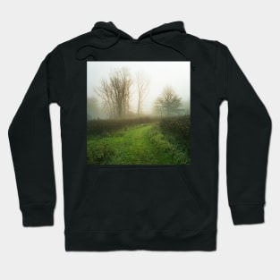 Beautiful Morning in Autumn Fog Hoodie